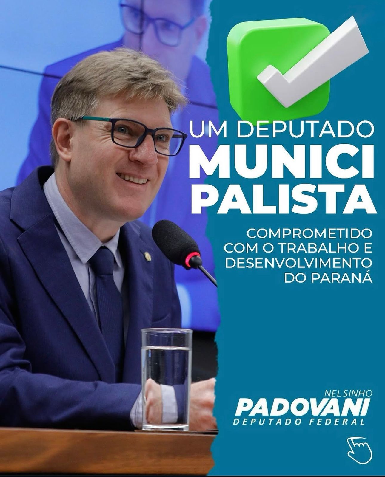 Nelsinho Padovani — Deputado
